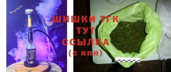 прущие грибы Балахна