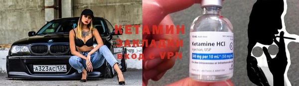 прущие грибы Балахна