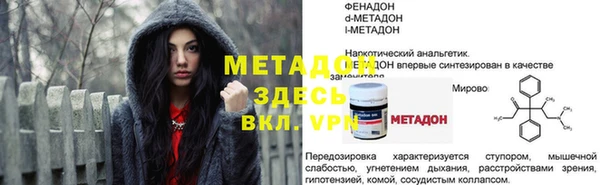 прущие грибы Балахна
