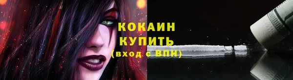 прущие грибы Балахна