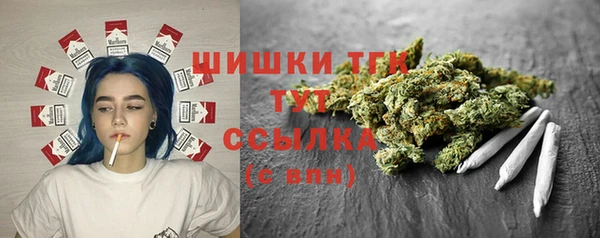 прущие грибы Балахна