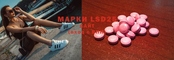 прущие грибы Балахна
