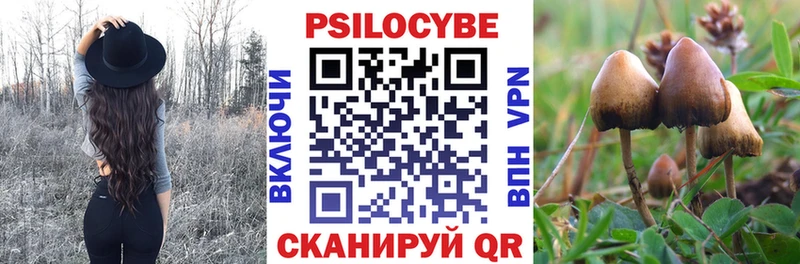 Псилоцибиновые грибы MAGIC MUSHROOMS мега сайт Балашов